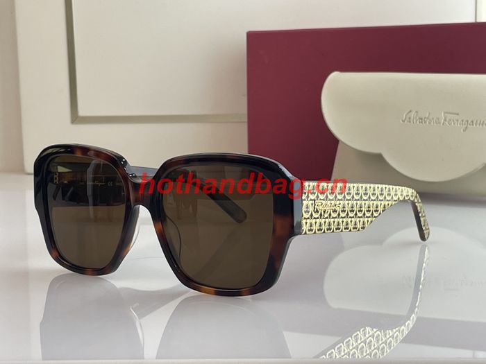Salvatore Ferragamo Sunglasses Top Quality SFS00244